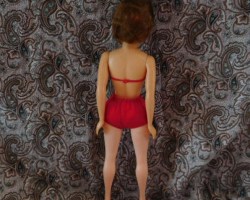 hk 12 inch red back